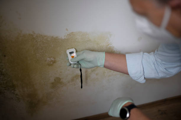 Trusted Rutgers University Busch Campus, NJ Mold Remediation Experts